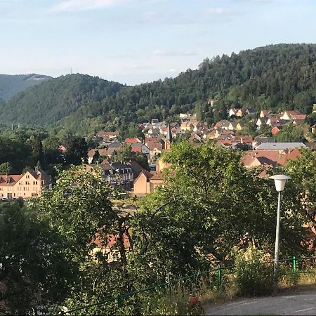 Chez Jose Apartment Rothau Bagian luar foto